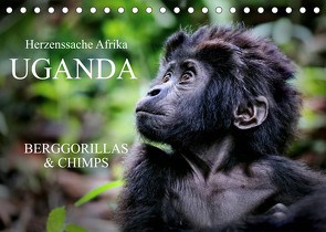 UGANDA – Berggorillas & Chimps (Tischkalender 2022 DIN A5 quer) von Woyke,  Wibke