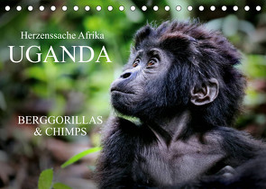 UGANDA – Berggorillas & Chimps (Tischkalender 2023 DIN A5 quer) von Woyke,  Wibke