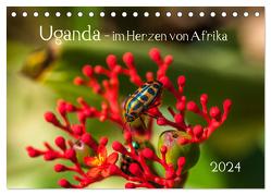 Uganda – im Herzen von Afrika (Tischkalender 2024 DIN A5 quer), CALVENDO Monatskalender von Bethke,  Barbara