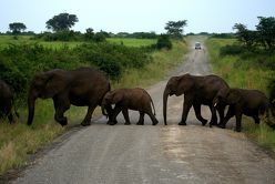 Uganda – Menschen, Tiere und Landschaften von Hentschel,  Ute, Rothgänger,  Hartmut