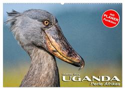 UGANDA – Perle Afrikas (Wandkalender 2024 DIN A2 quer), CALVENDO Monatskalender von Guni,  Günter