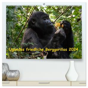 Ugandas friedliche Berggorillas (hochwertiger Premium Wandkalender 2024 DIN A2 quer), Kunstdruck in Hochglanz von Krause,  Johanna