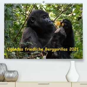 Ugandas friedliche Berggorillas (Premium, hochwertiger DIN A2 Wandkalender 2021, Kunstdruck in Hochglanz) von Krause,  Johanna