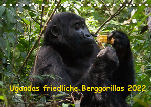 Ugandas friedliche Berggorillas (Tischkalender 2022 DIN A5 quer) von Krause,  Johanna