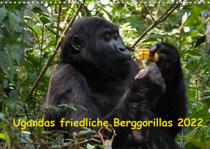 Ugandas friedliche Berggorillas (Wandkalender 2022 DIN A3 quer) von Krause,  Johanna