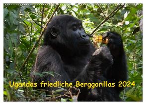 Ugandas friedliche Berggorillas (Wandkalender 2024 DIN A2 quer), CALVENDO Monatskalender von Krause,  Johanna