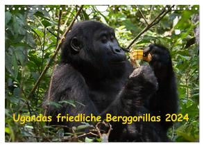 Ugandas friedliche Berggorillas (Wandkalender 2024 DIN A4 quer), CALVENDO Monatskalender von Krause,  Johanna