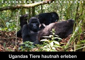 Ugandas Tiere hautnah erleben (Tischkalender 2018 DIN A5 quer) von Krause,  Johanna