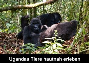 Ugandas Tiere hautnah erleben (Wandkalender 2018 DIN A3 quer) von Krause,  Johanna