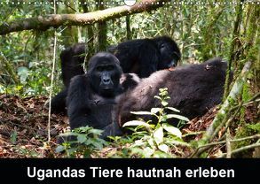 Ugandas Tiere hautnah erleben (Wandkalender 2019 DIN A3 quer) von Krause,  Johanna