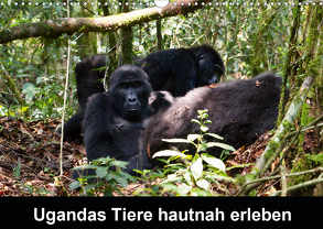 Ugandas Tiere hautnah erleben (Wandkalender 2020 DIN A3 quer) von Krause,  Johanna