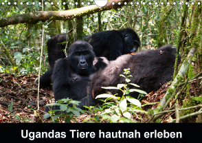 Ugandas Tiere hautnah erleben (Wandkalender 2020 DIN A4 quer) von Krause,  Johanna