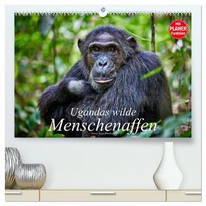 Ugandas wilde Menschenaffen (hochwertiger Premium Wandkalender 2024 DIN A2 quer), Kunstdruck in Hochglanz von Ritterbach,  Jürgen