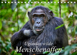 Ugandas wilde Menschenaffen (Tischkalender 2023 DIN A5 quer) von Ritterbach,  Jürgen