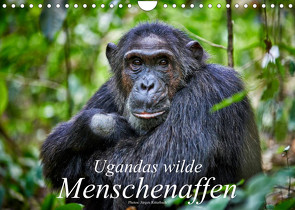 Ugandas wilde Menschenaffen (Wandkalender 2023 DIN A4 quer) von Ritterbach,  Jürgen