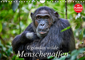 Ugandas wilde Menschenaffen (Wandkalender 2023 DIN A4 quer) von Ritterbach,  Jürgen