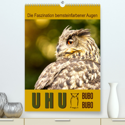 Uhu, die Faszination bernsteinfarbener Augen (Premium, hochwertiger DIN A2 Wandkalender 2023, Kunstdruck in Hochglanz) von Löwer,  Sabine