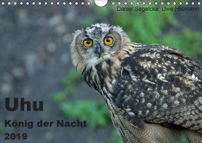 Uhu – König der Nacht (Wandkalender 2019 DIN A4 quer) von Hilsmann,  Uwe, Segelcke,  Daniel