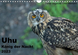 Uhu – König der Nacht (Wandkalender 2023 DIN A4 quer) von Hilsmann,  Uwe, Segelcke,  Daniel