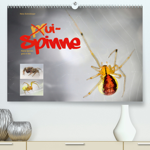 ui – Spinne. Kleine Spinnen – groß im Bild (Premium, hochwertiger DIN A2 Wandkalender 2021, Kunstdruck in Hochglanz) von Schmidbauer,  Heinz