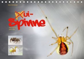 ui – Spinne. Kleine Spinnen – groß im Bild (Tischkalender 2018 DIN A5 quer) von Schmidbauer,  Heinz