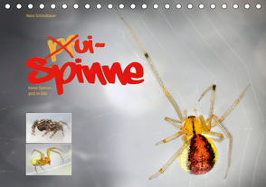 ui – Spinne. Kleine Spinnen – groß im Bild (Tischkalender 2021 DIN A5 quer) von Schmidbauer,  Heinz