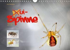 ui – Spinne. Kleine Spinnen – groß im Bild (Wandkalender 2018 DIN A4 quer) von Schmidbauer,  Heinz