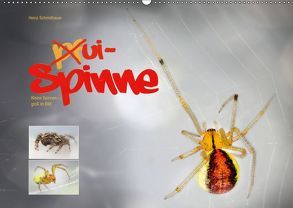 ui – Spinne. Kleine Spinnen – groß im Bild (Wandkalender 2019 DIN A2 quer) von Schmidbauer,  Heinz