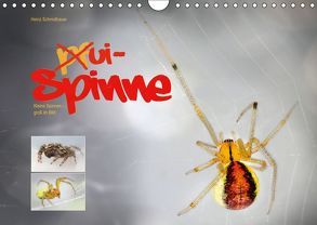 ui – Spinne. Kleine Spinnen – groß im Bild (Wandkalender 2019 DIN A4 quer) von Schmidbauer,  Heinz