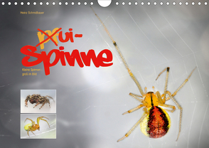 ui – Spinne. Kleine Spinnen – groß im Bild (Wandkalender 2020 DIN A4 quer) von Schmidbauer,  Heinz