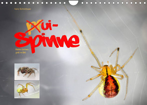 ui – Spinne. Kleine Spinnen – groß im Bild (Wandkalender 2022 DIN A4 quer) von Schmidbauer,  Heinz