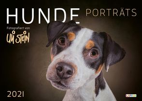 Uli Stein – Hunde Porträts 2021: Monatskalender für die Wand im Großformat von Stein,  Uli