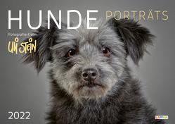 Uli Stein – Hunde Porträts 2022: Monatskalender für die Wand im Großformat von Stein,  Uli
