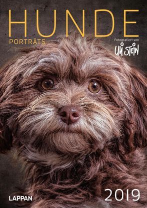 Uli Stein Hunde Portraits 2019 von Stein,  Uli