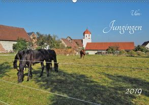 Ulm – Jungingen (Wandkalender 2019 DIN A2 quer) von Rohwer,  Klaus