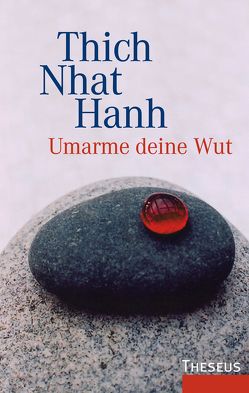 Umarme deine Wut von Hanh,  Thich Nhat