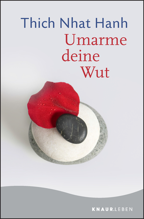 Umarme deine Wut von Mecklenburg,  Petra, Thich,  Nhat Hanh