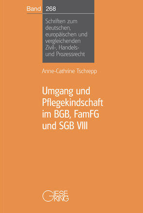 Umgang und Pflegekindschaft im BGB, FamFG und SGB VIII von Tschrepp,  Anne-Cathrine