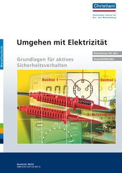 Umgehen mit Elektrizität – Grundlagen für aktives Sicherheitsverhalten von Hartmann,  Manfred