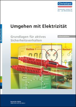 Umgehen mit Elektrizität – Grundlagen für aktives Sicherheitsverhalten von Hartmann,  Manfred