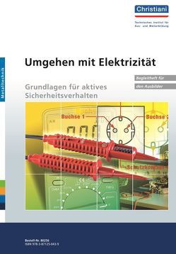 Umgehen mit Elektrizität – Gundlagen für aktives Sicherheitsverhalten von Mostmann,  Manfred