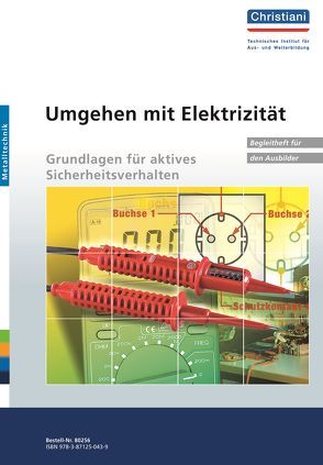 Umgehen mit Elektrizität – Gundlagen für aktives Sicherheitsverhalten von Mostmann,  Manfred