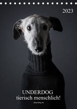 UNDERDOG – Windhundportraits (Tischkalender 2023 DIN A5 hoch) von Noel,  Tanja