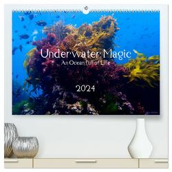 Underwater Magic (hochwertiger Premium Wandkalender 2024 DIN A2 quer), Kunstdruck in Hochglanz von Izabela Kremer,  Kira