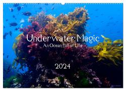 Underwater Magic (Wandkalender 2024 DIN A2 quer), CALVENDO Monatskalender von Izabela Kremer,  Kira