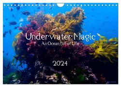 Underwater Magic (Wandkalender 2024 DIN A4 quer), CALVENDO Monatskalender von Izabela Kremer,  Kira