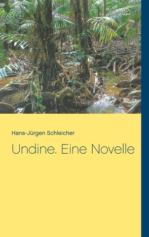 Undine. Eine Novelle von Schleicher,  Hans-Jürgen