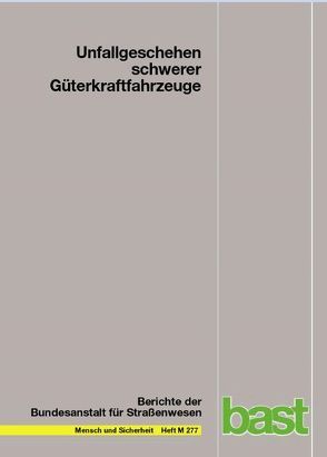 Unfallgeschehen schwerer Güterkraftfahrzeuge von Panwinkler,  Tobias