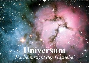 Universum. Farbenpracht der Gasnebel (Wandkalender 2019 DIN A2 quer) von Stanzer,  Elisabeth