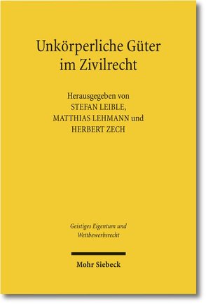 Unkörperliche Güter im Zivilrecht von Lehmann,  Matthias, Leible,  Stefan, Zech,  Herbert